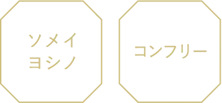 KEY ESSENCE